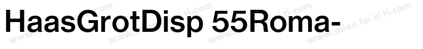 HaasGrotDisp 55Roma字体转换
